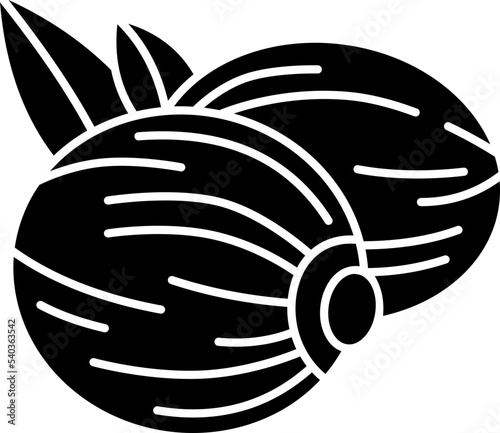 nutmeg  icon