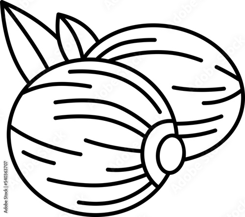 nutmeg  icon