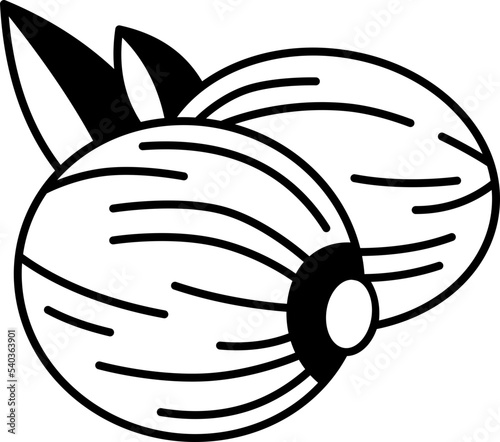 nutmeg  icon