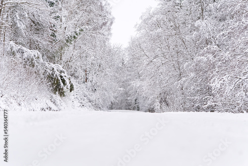 The road among the forest during a strong snow storm. scandinavia winter landscape