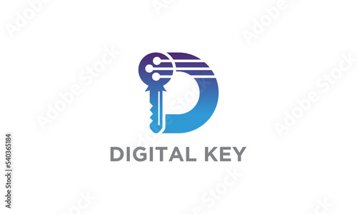Digital Key with D letter logo. Private key for cryptocurrency. Global Digital technologies. Vector illustration