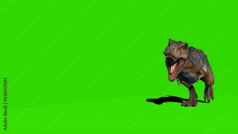 Tyrannosaurus rex Walking on Green Screen