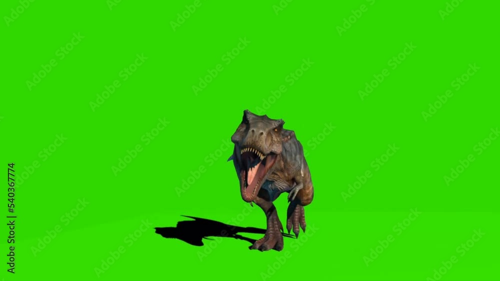 Tyrannosaurus rex Walking on Green Screen