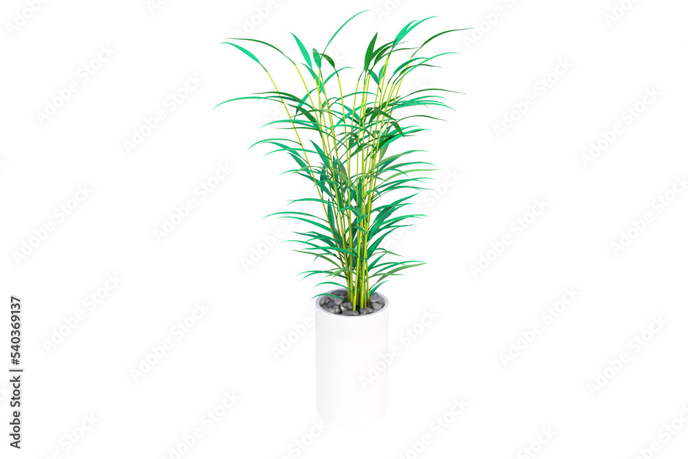 3d illustration of tropical plant in a white pot on a white background. 3d illustration of tropical plant in a white pot on a white background.