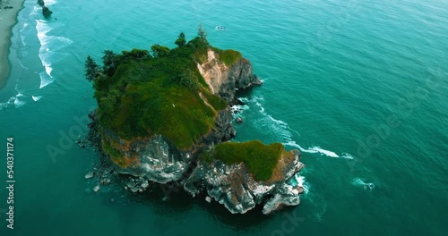 Aerial Upward Shot Of Green Plants On Rock In Wavy Sea - Siuslaw National Forest, Oregon photo