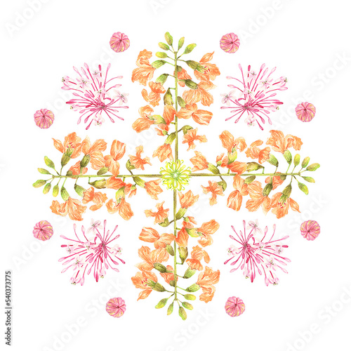 Fototapeta Naklejka Na Ścianę i Meble -  watercolor philippine flora mandala Narra Alocasia Bagawak morado