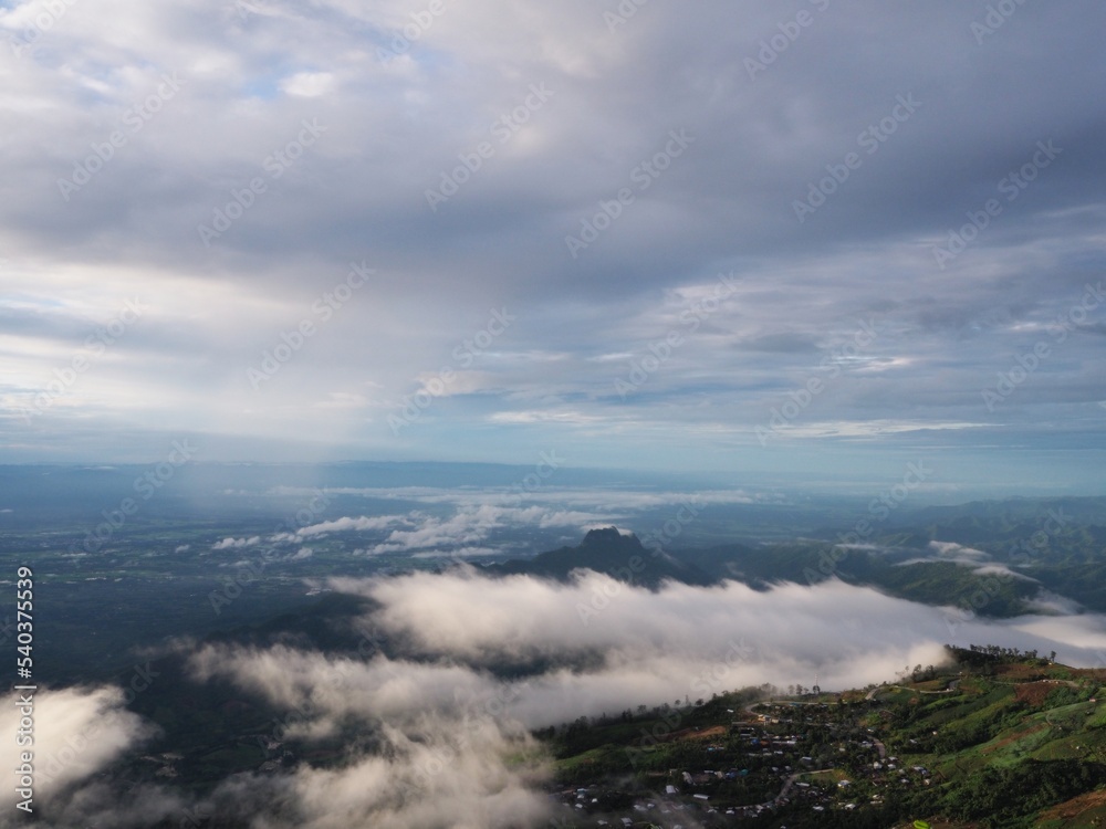 Fototapeta premium OLYMPUS DIGITAL CAMERA