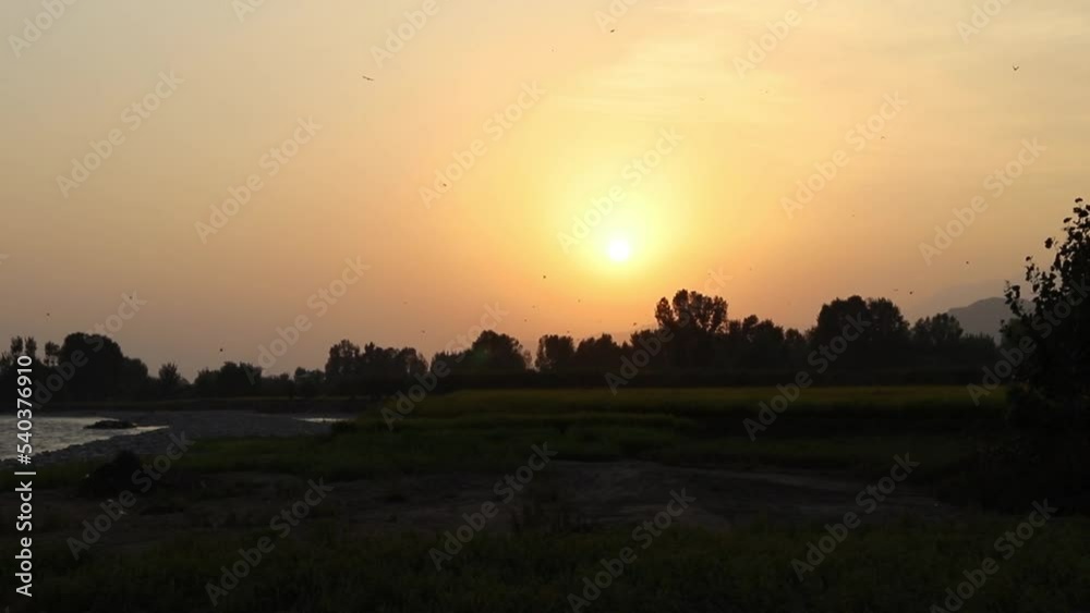 Birds leaving in the evening at sunset time Birds leaving in the evening at sunset time
