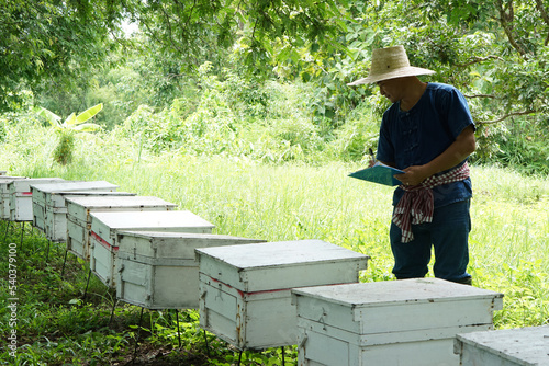Asian man farmers is surveying and inspecting wooden beekeeping boxes in the orchard for raising bees. Do research to develop quality. Concept : Business beekeeping industry  for honey in orchards.   