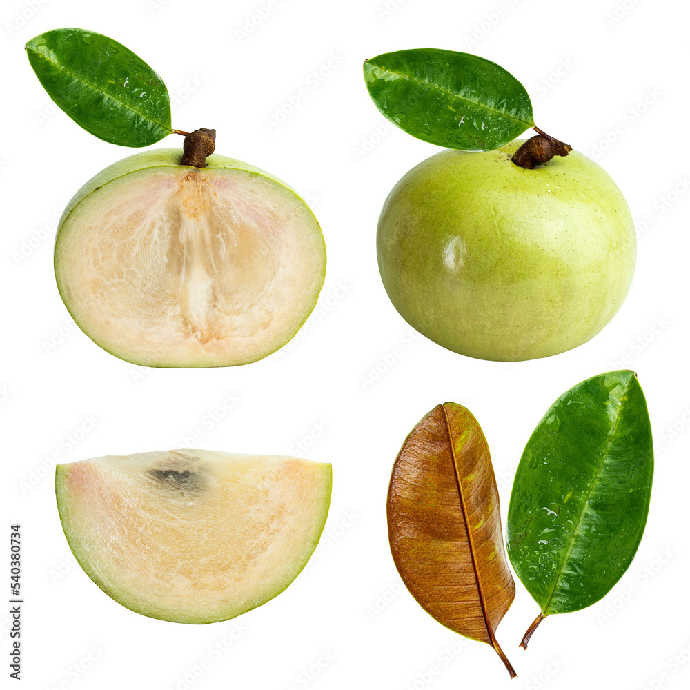 Collection of whole and cut ripe Star Apple or Chrysophyllum cainito ...