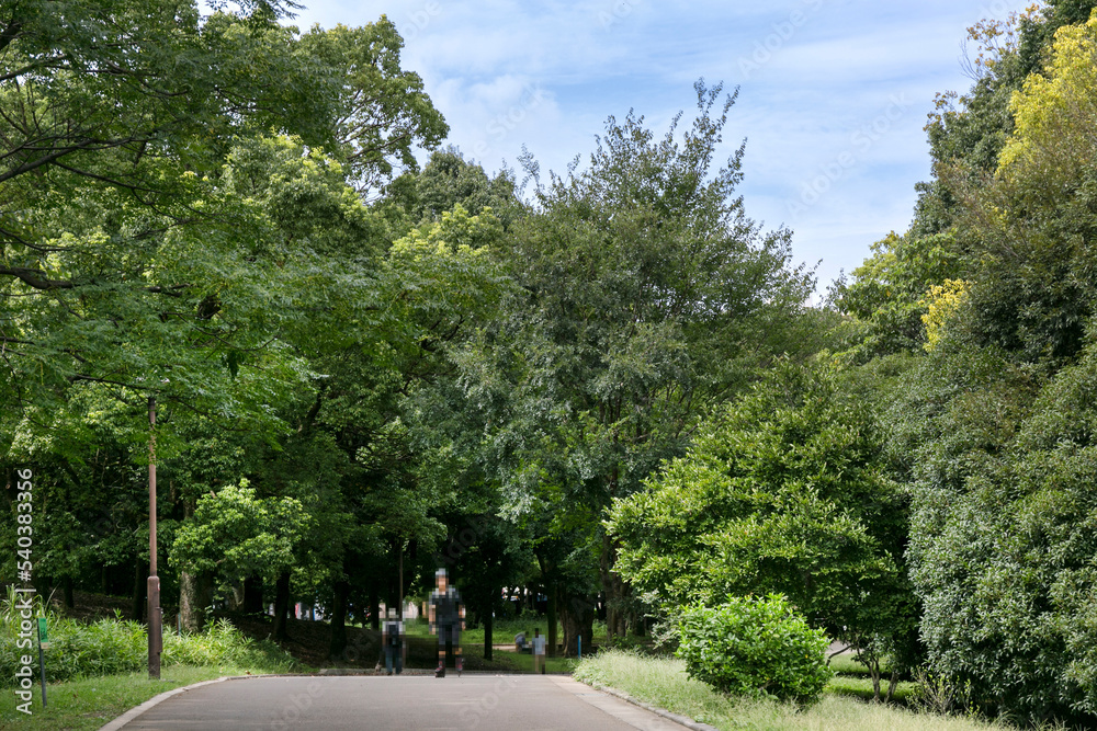 光が丘公園（東京都練馬区光が丘）