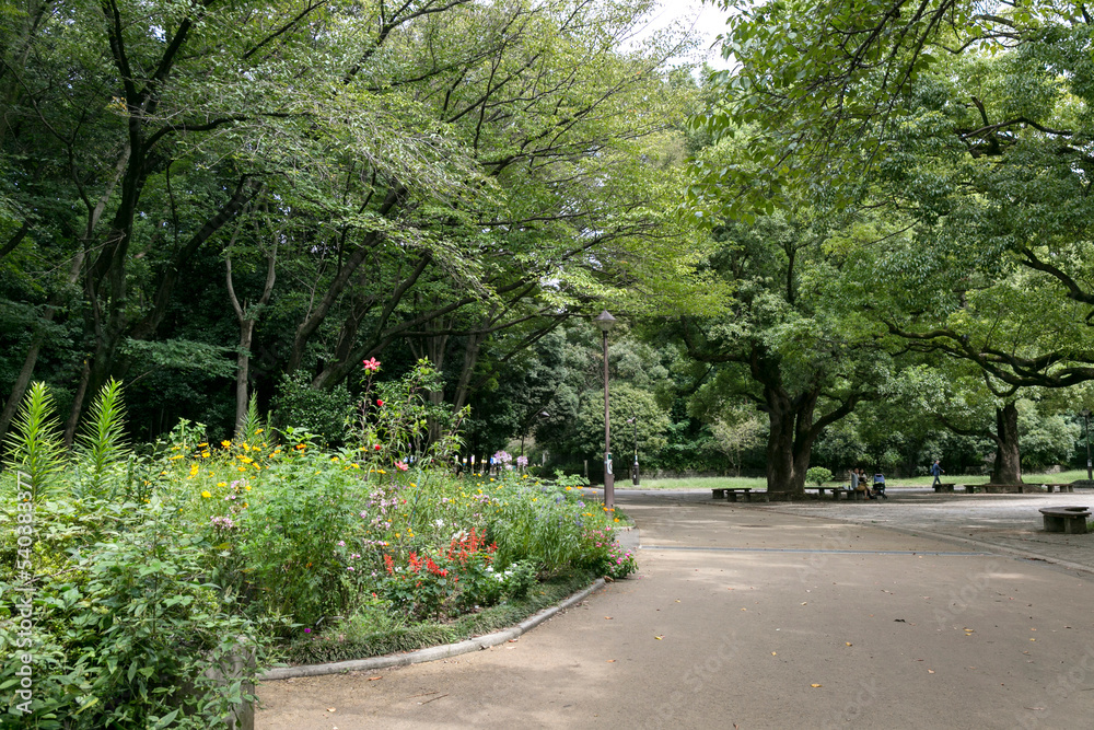 Obraz premium 光が丘公園(東京都練馬区光が丘)