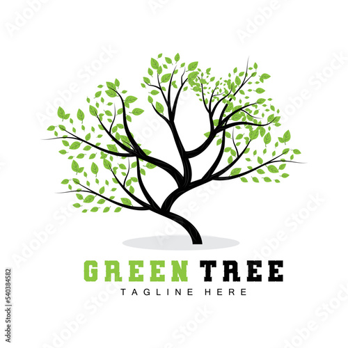 Green Tree Logo Design  Bonsai Tree Logo Illustration  Leaf And Wood Vector