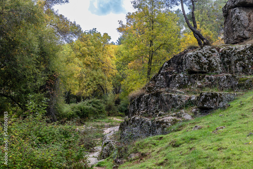 first autumn colors on the banks of the Cofio river in Robledo de Chavela  Madrid