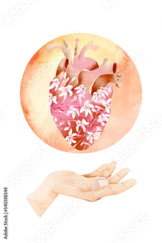 Philippine flora heart clerodendrum quadriloculare hand orb photo