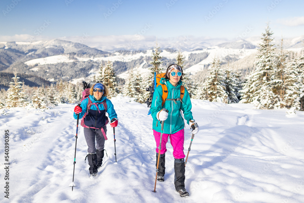 two girls with backpacks walk through the snow among the trees. winter hiking in the mountains..