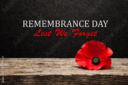 Tableau sur toile Poppy pin for Remembrance Day