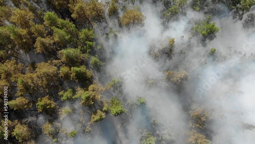 Epic aerial view of smoking wild fire. Large smoke clouds and fire spread. Forest and tropical jungle deforestation.
