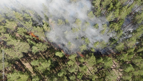 Aerial view Forest fires are burning violently