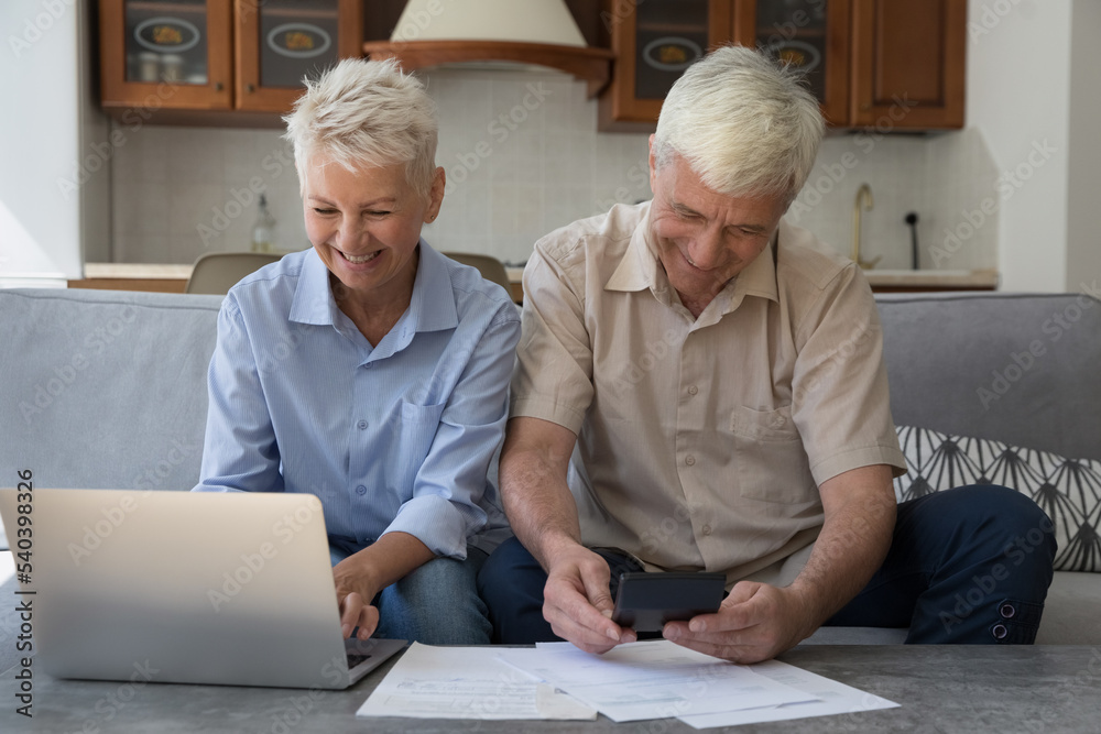 Happy attractive older spouses sit on sofa at home using laptop paying bills through e-bank application, reviewing household utilities, managing personal finances, control family budget feel satisfied Happy attractive older spouses sit on sofa at home using laptop paying bills through e-bank application, reviewing household utilities, managing personal finances, control family budget feel satisfied