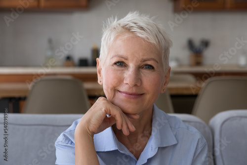 Baby boomer female head shot portrait. Attractive middle-aged woman sits on couch, relaxing alone at home, puts chin on hand, smiling looking at camera, looks carefree, enjoy untroubled retired life