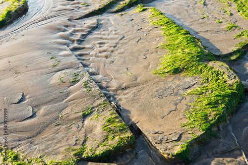 Stones and slabs at low tide on Lilstock beach, Somerset. photo