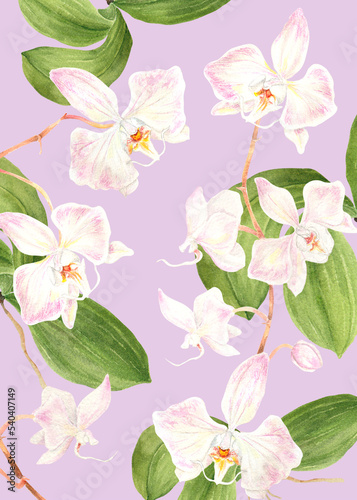 Philippine Flora Envelope liner invitation design Phalaenopsis sanderiana orchid