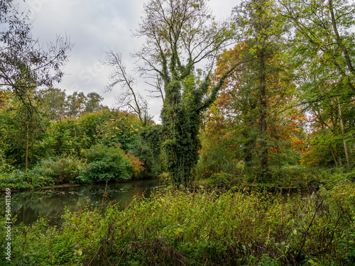 Herbst am Fluß Aa im Münsterland