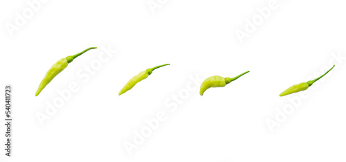 Obraz na płótnie Group of green Karen chili isolated on a white background.