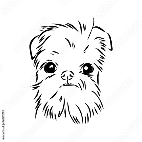 Brussels Griffon Dog  Pet Portrait  Brussels Griffon Dog Line Art  Pet Line Art  Pet Tattoo  Line Drawing  Dog Art  Minimalist