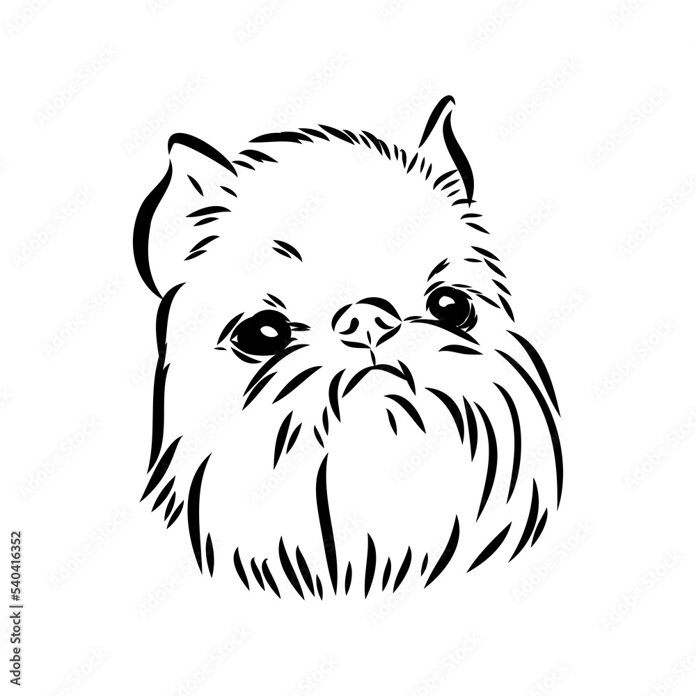 Brussels Griffon Dog, Pet Portrait, Brussels Griffon Dog Line Art, Pet Line Art, Pet Tattoo, Line Drawing, Dog Art, Minimalist Brussels Griffon Dog, Pet Portrait, Brussels Griffon Dog Line Art, Pet Line Art, Pet Tattoo, Line Drawing, Dog Art, Minimalist