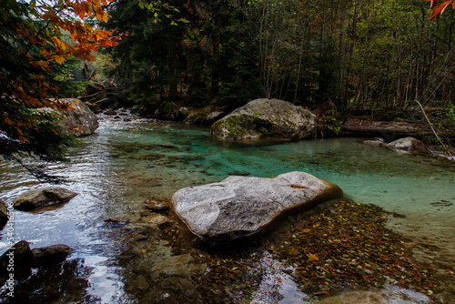 Picturesque backwater of a mountain river surrounded by large boulders and an autumn forest. The bottom is covered with fallen multicolored leaves. A combination of clear blue water and autumn colors