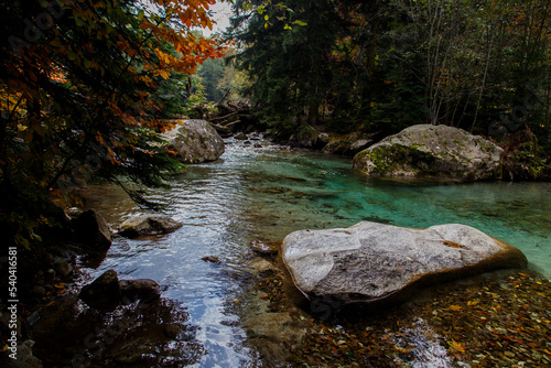 Picturesque backwater of a mountain river surrounded by large boulders and an autumn forest. The bottom is covered with fallen multicolored leaves. A combination of clear blue water and autumn colors