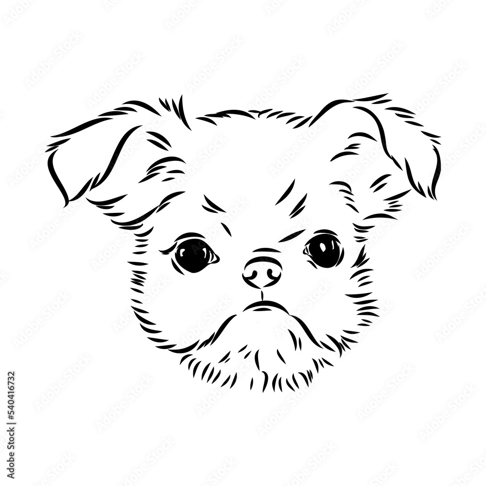 Fototapeta premium Brussels Griffon Dog, Pet Portrait, Brussels Griffon Dog Line Art, Pet Line Art, Pet Tattoo, Line Drawing, Dog Art, Minimalist