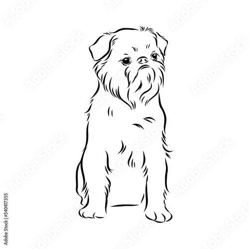 Brussels Griffon Dog, Pet Portrait, Brussels Griffon Dog Line Art, Pet Line Art, Pet Tattoo, Line Drawing, Dog Art, Minimalist