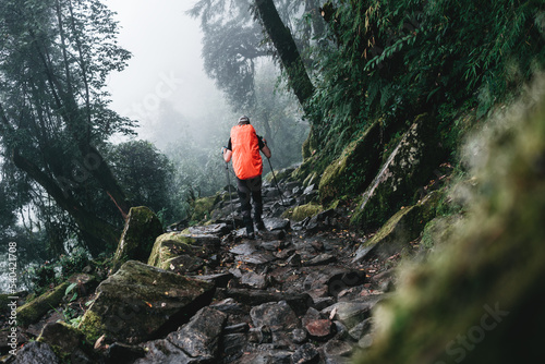 Solo hiker wearing professional backpack covered rain protect walk across foggy jungle mountain. Young tourist traveling along rocky forest trek photo