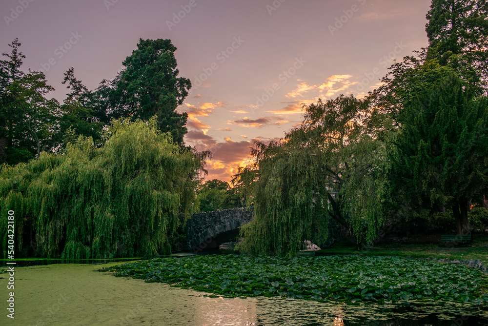 A colorful sunset on Beacon Hill Park bridge in Victoria in British Columbia