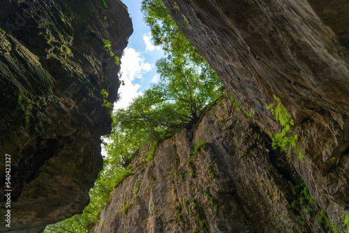 View from below from the crevice on the steep overhanging walls of rocks and trees against the sky