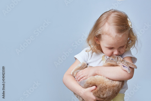 Cute girl hugs and kisses a rabbit. Copy space. Blue background.