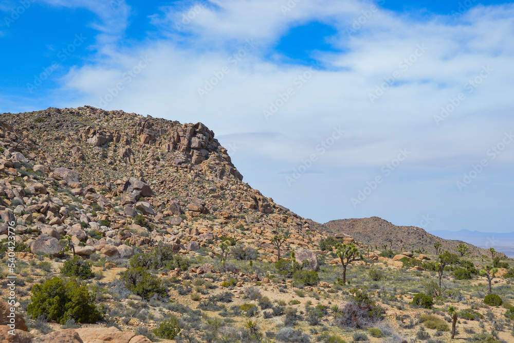 Joshua Tree National Park, Mojave Desert Joshua Tree National Park, Mojave Desert