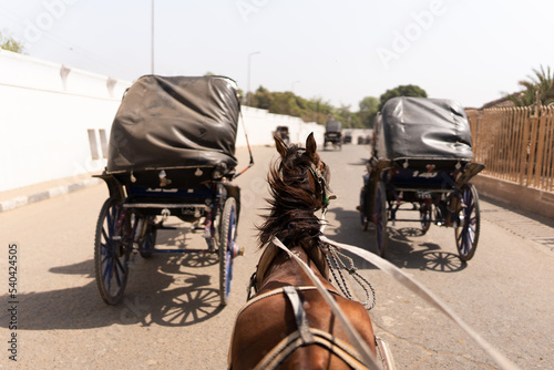 Horse carriage in a road of Edfu City © Iván Moreno