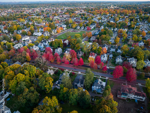 Holyoke MA - Fairfield Ave Red Row of Trees