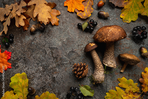Boletus mushrooms with leaves
