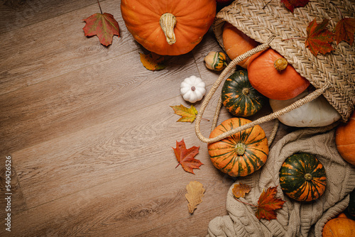 Autumn composition with pumpkins