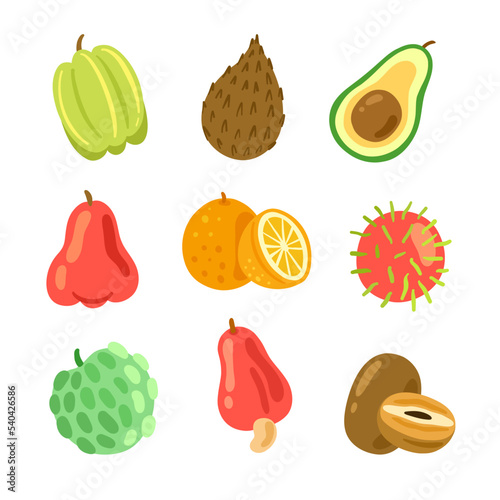 Illustration set of colorful tropical fruits. Star fruit, avocado, orange, rambutan, chasew apple, custard apple, salak, chikoo, rose apple