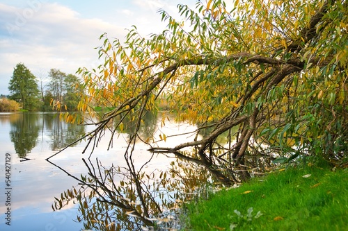 Idylle am See