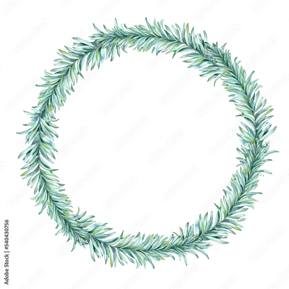 Watercolor winter simple wreath. 
Hand drawn conifer branches illustration. Isolated on transparent.