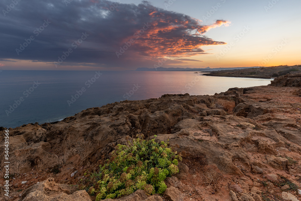 Obraz premium Colorful sunrise seascape with rocky coastline and bunch of flowers in foreground, Crete, Greece