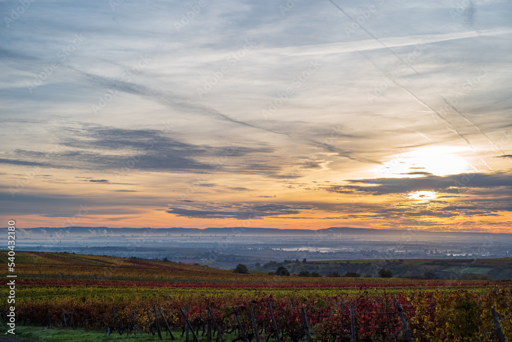 Fototapeta premium sonnenaufgang im herbst über einem weinberg