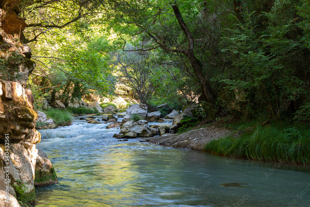 Lousios river in Arcadia, Greece